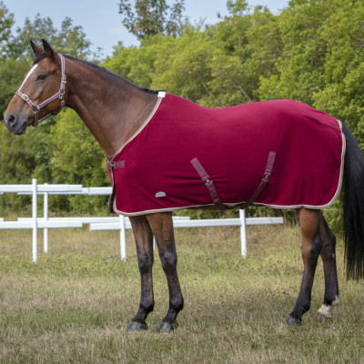 Chemise polaire Equi-Theme Polyfun Bordeaux / blanc