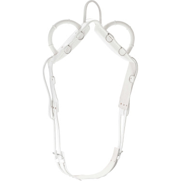 Surfaix de voltige Norton Surfaix de voltige Norton