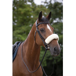 Fourreau de muserolle Equithème Teddy