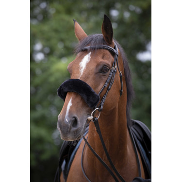 Fourreau de muserolle Equithème Teddy Noir