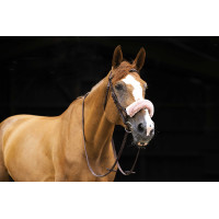 Fourreau de muserolle Equithème Teddy Bleu marine Fourreau de muserolle Equithème Teddy Bleu marine