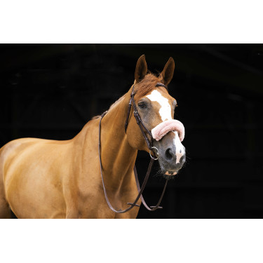 Fourreau de muserolle Equithème Teddy Or rose Noir Fourreau de muserolle Equithème Teddy Or rose Noir