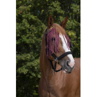 Frontal chasse-mouches Norton Bordeaux