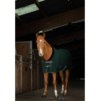Chemise polaire Equithème Teddy Vert / marron
