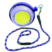 Jeu pierre à sel Boredom Buster Likit Violet