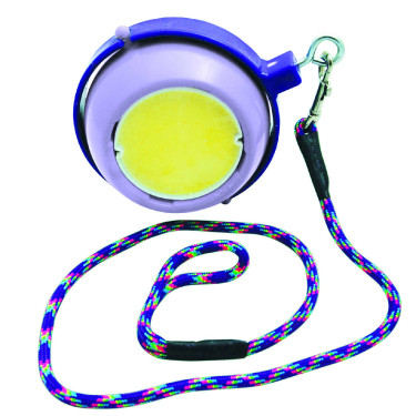 Jeu pierre à sel Boredom Buster Likit Violet