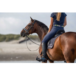 Éperons Sprenger FairRider plats Bleu / argent