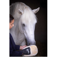 Gant de pansage Pénélope Noir