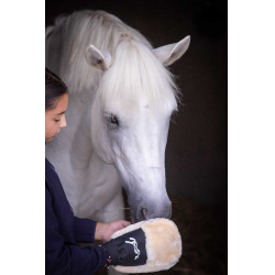 Gant de pansage Pénélope Noir