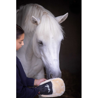 Gant de pansage Pénélope Noir