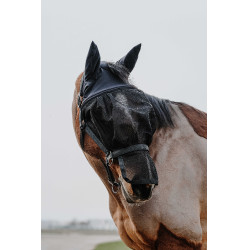 Licol + masque Equithème Noir