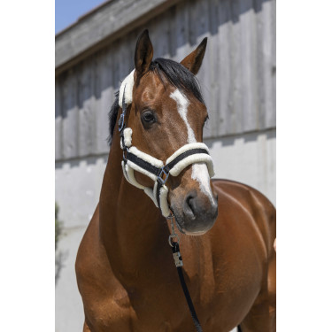 Licol Norton Cosy Noir