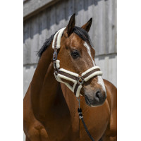 Licol Norton Cosy Chocolat Marron Licol Norton Cosy Chocolat Marron