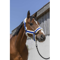 Licol Norton Cosy Bleu roi