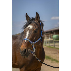 Licol Norton Nylon Soft