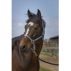 Licol Norton Nylon Soft