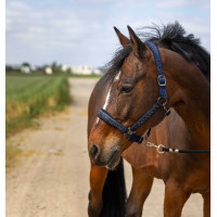 Licol Equithème Nylon Strass Bleu marine