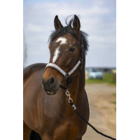 Licol Equithème Nylon Check Marine / marron Bleu