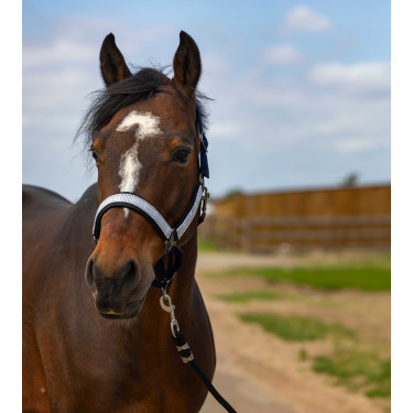 Licol Equithème Nylon Check