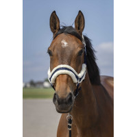 Licol Equithème Nylon Mouton Marine / blanc Bleu Licol Equithème Nylon Mouton Marine / blanc Bleu