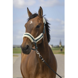 Licol Equithème Nylon Mouton Vert / blanc