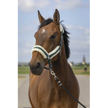 Licol Equithème Nylon Mouton Vert / blanc