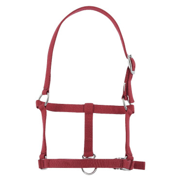 Licol foal Riding World Bordeaux Licol foal Riding World Bordeaux