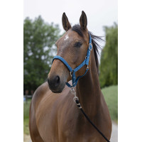 Licol Norton Satine Bleu ciel / noir Licol Norton Satine Bleu ciel / noir