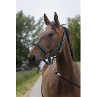 Licol Norton Satine Vert foncé Licol Norton Satine Vert foncé