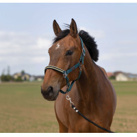 Licol Equithème Nylon Chevron Gris clair