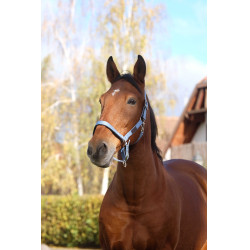 Licol Nylon Spring Equithème Bleu