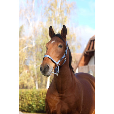 Licol Nylon Spring Equithème Bleu