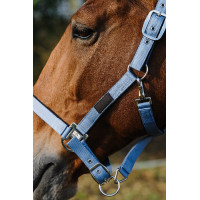 Licol Nylon Spring Equithème Bleu