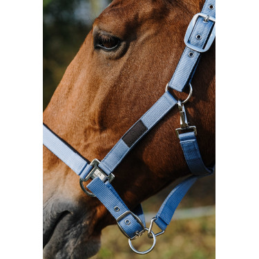 Licol Nylon Spring Equithème Bleu