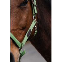 Licol Nylon Spring Equithème Vert clair Licol Nylon Spring Equithème Vert clair