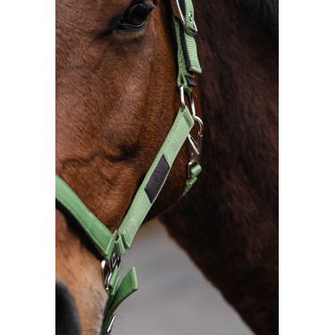Licol Nylon Spring Equithème Vert clair