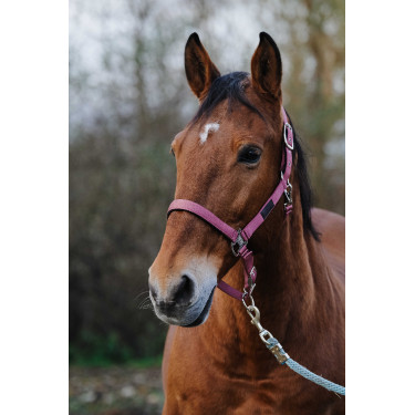 Licol Nylon Spring Equithème Rose Licol Nylon Spring Equithème Rose