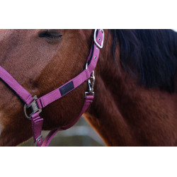 Licol Nylon Spring Equithème Rose Licol Nylon Spring Equithème Rose