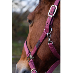 Licol Nylon Spring Equithème Rose Licol Nylon Spring Equithème Rose
