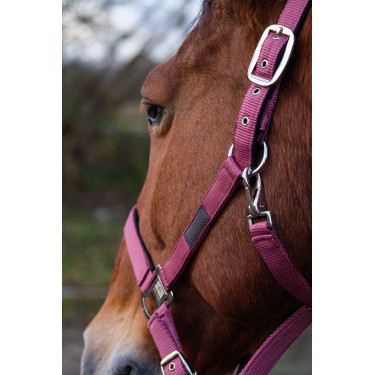 Licol Nylon Spring Equithème Rose Licol Nylon Spring Equithème Rose
