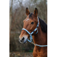 Licol Nylon Spring Equithème Turquoise Bleu