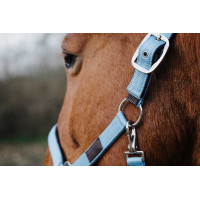 Licol Nylon Spring Equithème Vert foncé Licol Nylon Spring Equithème Vert foncé