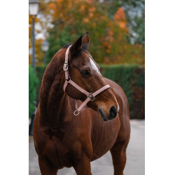 Licol Nylon Spring Equithème Rose clair Licol Nylon Spring Equithème Rose clair