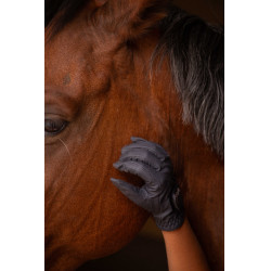 Gants Eden by Pénélope Prisma Strass