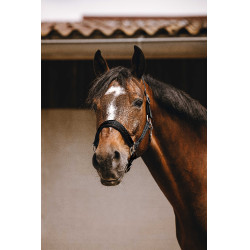 Licol nylon Equithème Jacquard Noir