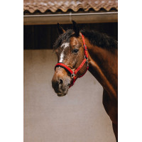 Licol nylon Equithème Jacquard Rouge