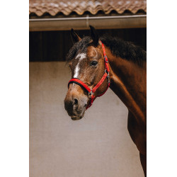 Licol nylon Equithème Jacquard Rouge