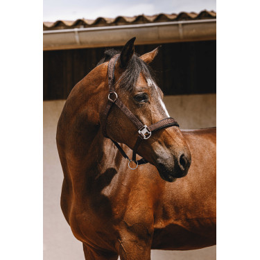 Licol nylon Equithème Jacquard Marron