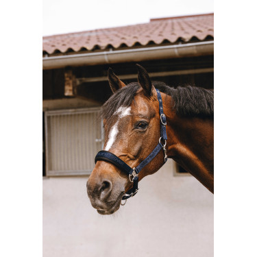 Licol nylon Equithème Jacquard Marine Bleu marine