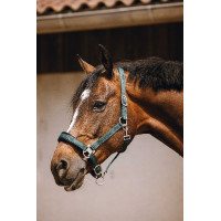 Licol nylon Equithème Jacquard Vert